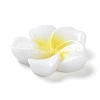 Opaque Resin Cabochons X-RESI-G068-02F-3