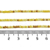 Transparent Glass Beads Strands GLAA-H027-01H-5