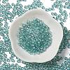 Glass Seed Beads X1-SEED-H002-C-A049-2