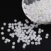 DIY Craft Beads 6/0 Ceylon Round Glass Seed Beads X-SEED-A011-4mm-141-1