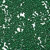 Baking Paint Glass Seed Beads X-SEED-S042-05B-66-3