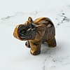 Natural Tiger Eye Home Decorations DJEW-YW0001-04A-1