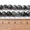 Natural Hawk's Eye Beads Strands G-L478-03-8mm-01-3