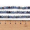 Natural Kyanite Beads Strands G-A316-A01-01-5