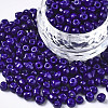 6/0 Glass Seed Beads SEED-S058-A-F304-1