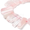 Natural Rose Quartz Beads Strands G-L551B-17-3