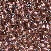 TOHO 6/0 Round Beads SEED-XTR06-0267-4