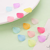 Transparent Frosted Acrylic Pendants MACR-S371-09A-6