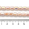 Electroplate Glass Beads Strands EGLA-D030-06B-4