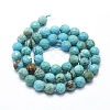 Natural Howlite Beads Strands X-G-D0012-01C-2