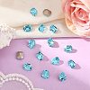 Preciosa® MAXIMA Crystal Fancy Stones X-PRC-FD12-60010-2