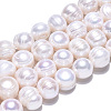 Natural Cultured Freshwater Pearl Beads Strands PEAR-N013-10D-3