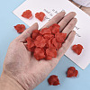 Autumn Theme Transparent Frosted Acrylic Pendants X-PAF002Y-12-6