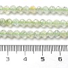 Natural Prehnite Beads Strands LS-G-G161-A13-03-5