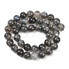 Natural Labradorite Beads Strands G-Z133-A01-10mm-01-3