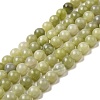 Natural Green Jade Beads Strands G-K340-A02-01-2