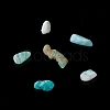 Natural Amazonite Chip Beads G-M364-04A-2