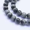 Natural Hawk's Eye Beads Strands G-L478-03-6mm-2