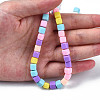 Handmade Polymer Clay Beads Strands CLAY-N008-060-04-7