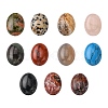 Gemstone Cabochons X-G-H1596-18x13x5mm-M-2