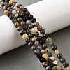 Natural Sodalite Beads Strands G-F591-13A-8
