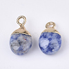 Electroplate Natural Blue Spot Jasper Charms G-S344-09I-2