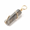 Natural Larvikite Pendants PALLOY-JF01453-05-4