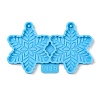 DIY Pendant Silicone Molds DIY-F142-02H-2