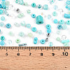 Glass Seed Beads SEED-N007-13D-4