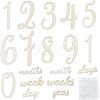 Wood Baby Milestone Numbers Signs Sets AJEW-WH0042-30-1