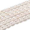 Natural Cultured Freshwater Pearl Beads Strands PEAR-L033-62-01-1