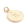 Brass Micro Pave Cubic Zirconia Pendants ZIRC-E164-34J-G-2