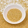 MIYUKI Delica Beads X-SEED-J020-DB1801-2