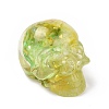 Natural Fluorite Skull Beads G-P490-02D-1