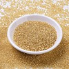 MIYUKI Round Rocailles Beads X-SEED-G007-RR0003-2