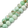 Natural Green Opal Beads Strands G-R494-A08-03-1