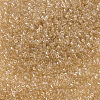 MIYUKI Delica Beads SEED-J020-DB0101-3