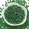 6/0 Inside Colours Fringe Glass Seed Beads SEED-A034-03G-2
