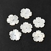 Natural White Shell Beads SHEL-M021-08A-2