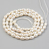 Electroplate Natural Freshwater Shell Beads Strands SHEL-T017-13A-01-2