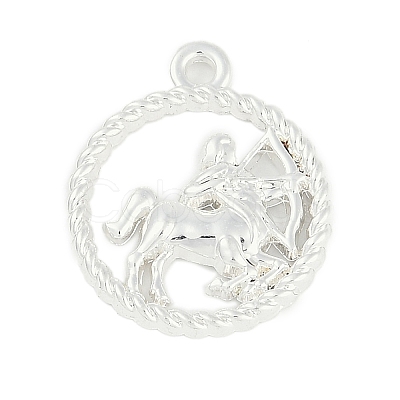Twelve Constellations Alloy Pendants PALLOY-Q006-01D-S-1