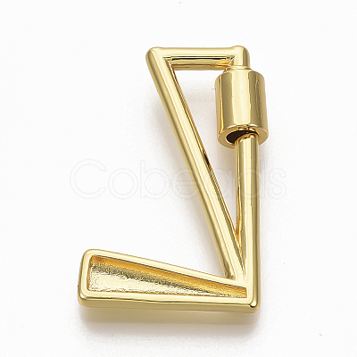 Brass Screw Carabiner Lock Charms LS-KK-T046-001G-L-NF-1