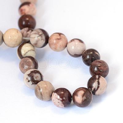 Natural Zebra Jasper Round Bead Strands G-E334-6mm-12-1