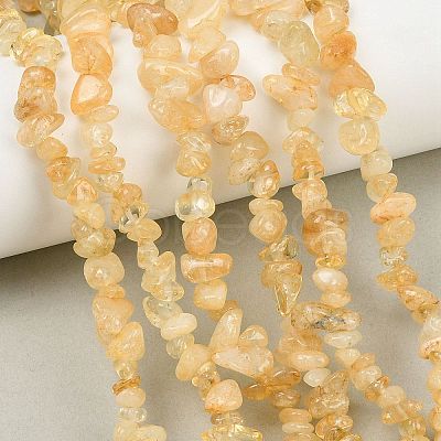 Gemstone Beads Strands F044-1