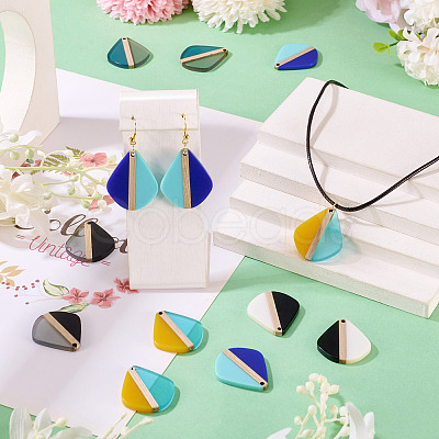 10Pcs 5 Colors Transparent & Opaque Resin & Wood Pendants RESI-TA0004-64-1