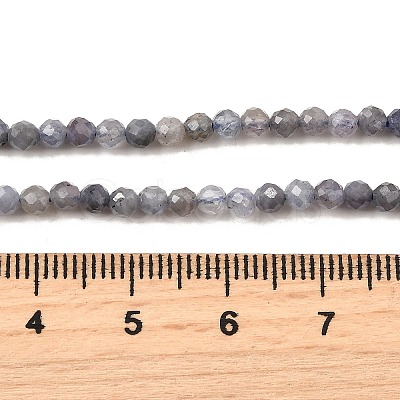 Natural Tanzanite Beads Strands G-S387-A01-3mm-1