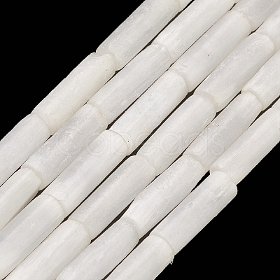 Natural Selenite Beads Strands G-K336-01-1