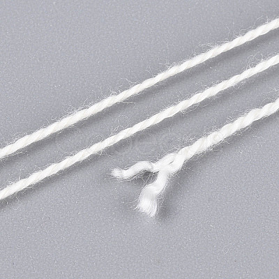 Braided Polyester Cord OCOR-T017-04A-01-1