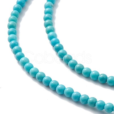 Natural Howlite Beads Strands TURQ-K005-01A-1