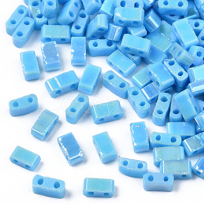 2-Hole Opaque Glass Seed Beads LS-SEED-N004-002-B01-1